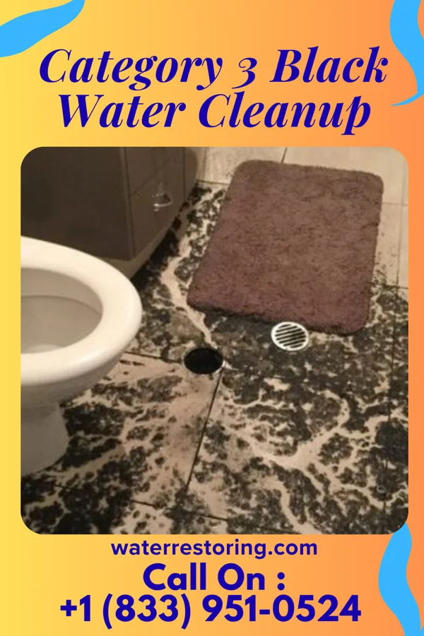 Category 3 Black Water Cleanup in Holbrook, AZ