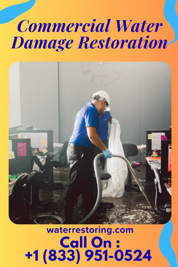 Commercial Water Damage Restoration in Holbrook, AZ