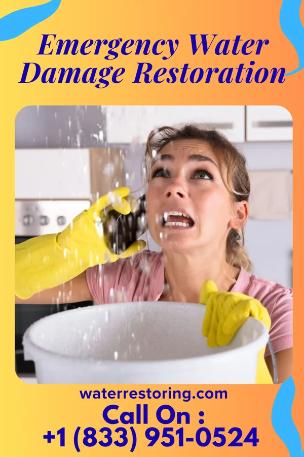 Emergency Water Damage Restoration in Holbrook, AZ